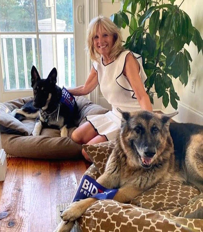 Biden dogs Major (left) and Champ, set to become unofficial “First Dogs”, here with Dr. Jill Biden in this photo published around the world.