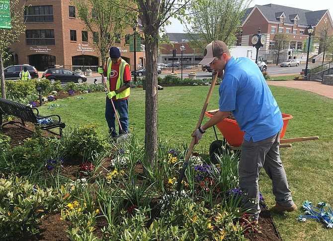 Workers getting rid of invasive plants in Van Dyck Park.