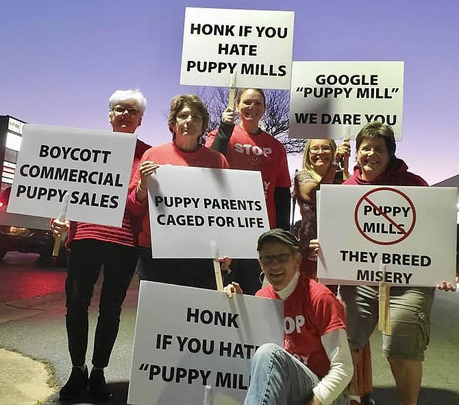 Animal activists picket one of Virginia’s only 18 puppy stores.