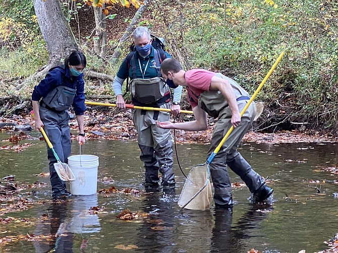Ichthyology field trip learning fish identification, led by Fairfax County Stormwater Planning team, shown using electro-fisher unit.