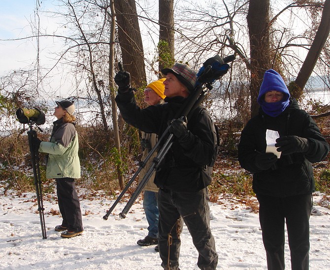 Members of the Friends of Dyke Marsh count birds for the Christmas Bird Count in the marsh and the Potomac River: Paula Sullivan, Ned Stone, Ed Eder and Dorothy McManus.