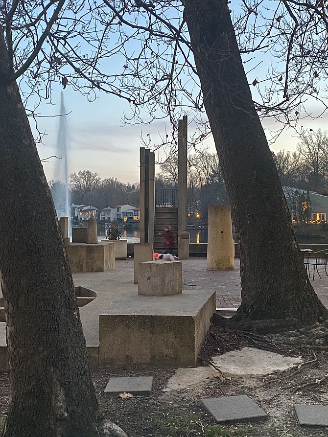 A possible standoff looms between the Heron House's two sycamores growing inches from  pieces of the site-specific public art by Uruguayan-born sculptor Fonseca Gonzalo. Called "Sun Boat" (1965), Lake Anne of Reston Condominium owns the irreplaceable brutalist sculpture.