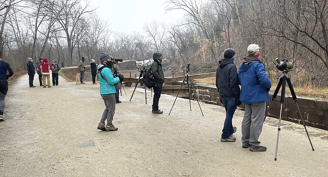 Birders wait and watch in the light rain on Sunday. While the Painted Bunting was spotted Sunday morning, by afternoon, birders were disappointed.