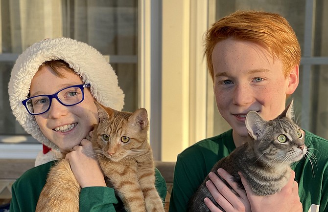 Tytus, 10, Orange Hunt Elementary, and brother Maksyn Jacewitz, 13, Irving Middle School, Springfield, with rescue kittens, Marigold and Lily. Along with their younger brother Justyn, the boys fostered 11 cats during the Covid quarantine. Asked why is adopting/fostering important to them,  Tytus told us, “Personally, if you save animals from shelters that’s good. You save lives. They die if you don’t adopt them.”