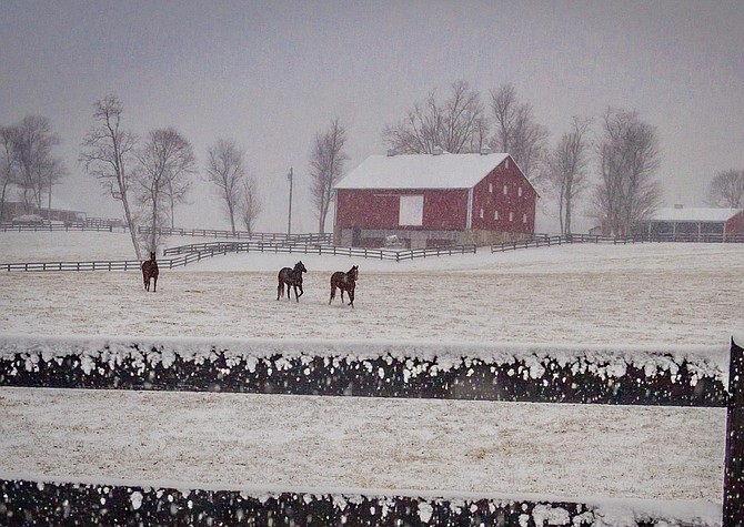 An initiative to permit the solar industry to plant industrial solar in the Agricultural Reserve will advance with restrictions. Here, part of the Reserve in Poolesville in the snow.