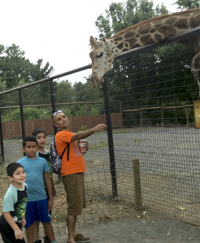 Waffles, the beloved giraffe at Roer’s Zoofari, died in Monday’s fire. (File photo 2018)