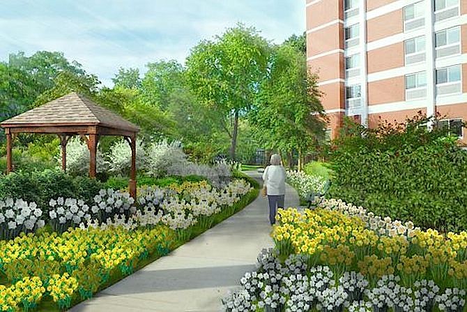 Rendering of architect’s drawing for the new Culpepper Garden dream daffodil garden.