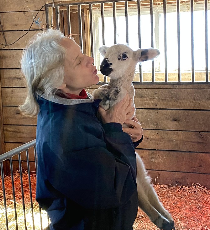 For Yvonne Johnson, former Manager of Frying Pan Farm Park, retirement means she has all the time in the world to volunteer at the park and play with the animals.