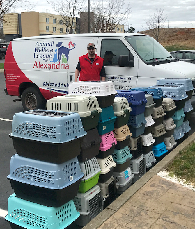 On Saturday, March 13, the Animal Welfare League of Alexandria (AWLA) brought in 50 cats from eight individual animal shelters in Texas.