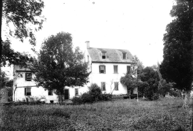 Wellington, photographed by J. Harry Shannon, 1908.