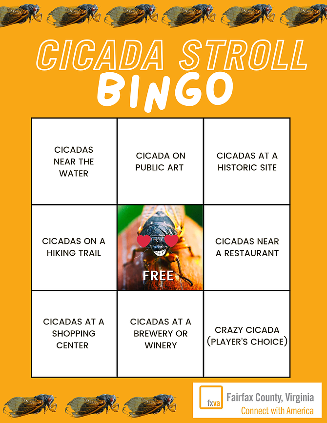 Cicadas return in 2021: Play Visit Fairfax's Cicada Stroll Bingo Card & win prizes! Details here: FXVA.com/cicadas