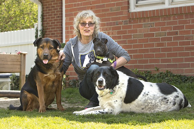 Johanna Pichlkostner Isani with adopted canines Lexie and Paxton and puppy foster Bri.