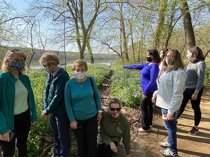 Ticket holders for the Virginia Bluebells & Bald Eagle Tour produced by the Great Falls Friends and Neighbors Philanthropy Group stop to admire the perennials' blossoms on the morning of April 7.