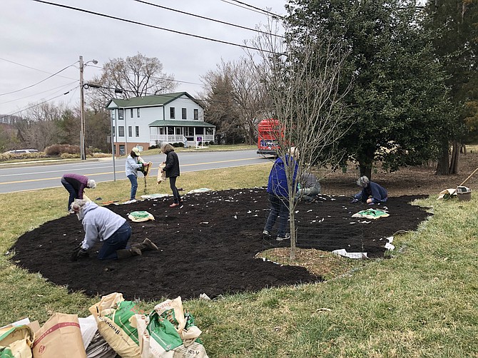 Members of the Potomac Village Garden Club hard at work on a garden of native plants at the Potomac Library.