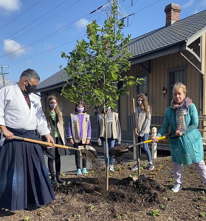 In celebration of Arbor Day 2021, Mayor Sheila Olem of the Town of Herndon, along with Chief Instructor Tony Breda of Heaven and Earth Aikido, plant the new Yoshino Cherry tree in the Town Square. Girl Scouts from Saint Joseph School Girl Scout Council of the Nation Capital Troop 2421, (from left)  Josie, 12, of Herndon, Mairead M., 11, of Herndon, Mariana, 12, of Herndon and, Ainsley, 12, of Vienna look on.