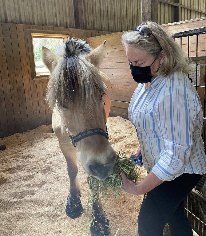 Delfinia, one of Lift Me Up’s most loved horses, is back home after a lengthy and costly stay at the Marion duPont Scott Equine Medical Center. Georgia Bay, Executive Director and Advanced Instructor at Lift Me Up, gives her a bit of hay.