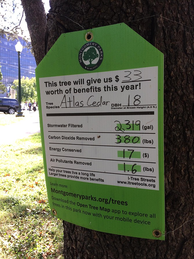 Montgomery County publicizes the benefits of trees with tags noting how many gallons of water they filtered and how many cubic feet of air cleaned. Montgomery County has programs that address a wide range of opportunities to expand their forests – both public and private.