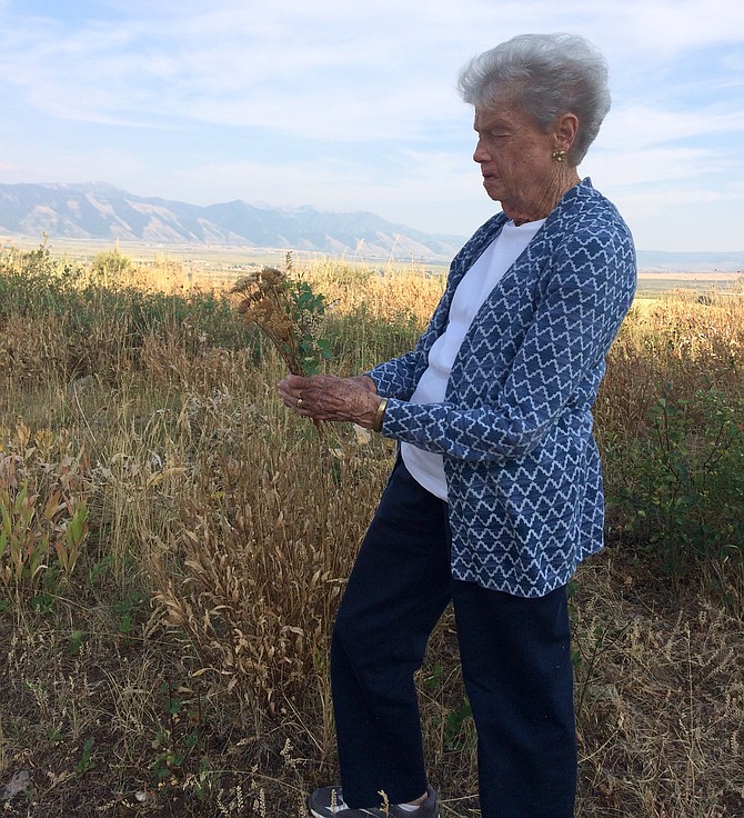 Ann Shanley, making wildflower bouquets in a Wyoming field at 90.