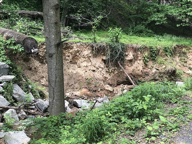 Tributary B along Donaldson Run shows the effects of erosion as trees fall down on either side.
