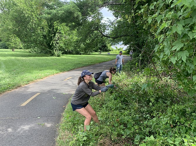 Weeds and blind corners are being cleaned up by the Friends of the Mount Vernon Trail.