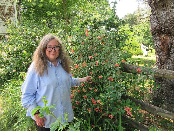 Tami Entabi next to coral honeysuckle, a favorite of hummingbirds.