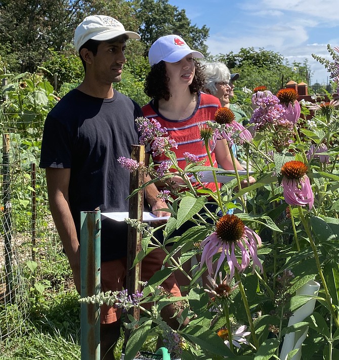 Citizen-science volunteers and counters (from left) Samarth Kishor of Arlington, Summer Chambers of Reston, Ilene McNeal of Reston, and Elise Larsen of Falls Church, gaze over the pollinators hoping to sight a butterfly.