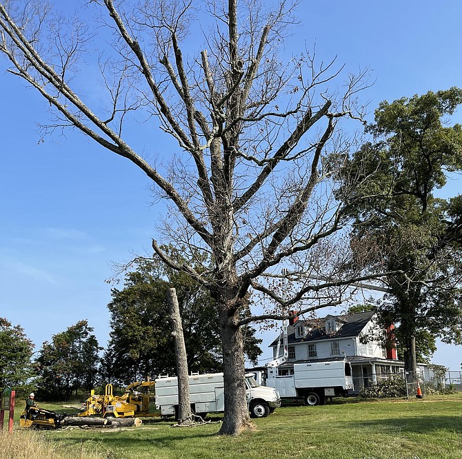 Contractors removed three dead Oak trees which  fronted the historic Barrett House on Lorton Road. The property is being readied to enter Fairfax County’s Resident-Curator Program.