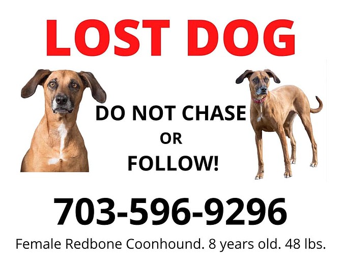 Posters on area streets and in parks alert the public to lost dog.
