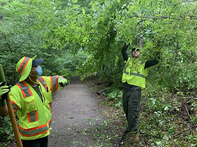 Trash and invasive plants are targets along the streams in Fairfax County.