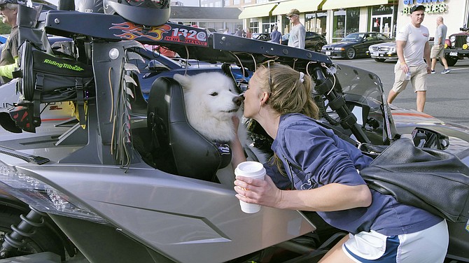 Leo, a 4-1/2 year-old Samoyed, gives a lick of appreciation to his owner for his turn in the driver’s seat of the Batmobile. His owner declares Leo’s driving record is clean.