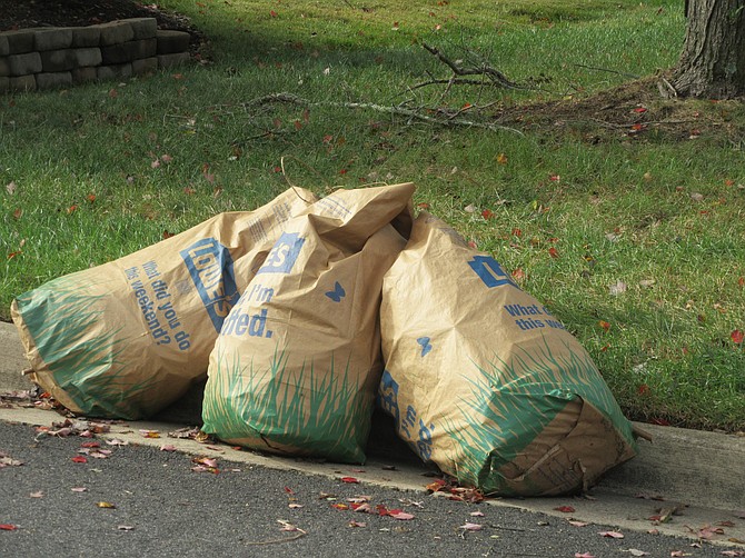 Many people bag leaves and leave them on the street for county pickup.