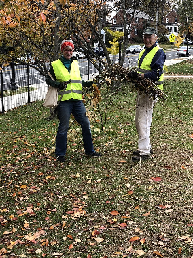 A couple that prunes together stays together. Hugh and Marilyn Robinson have been working with Tree Stewards since 2011 and 2015 respectively. They joined forces with half a dozen other Tree Stewards on Sunday to help functionally prune trees at the Arlington Traditional School.  Some older trees were badly in need of pruning.