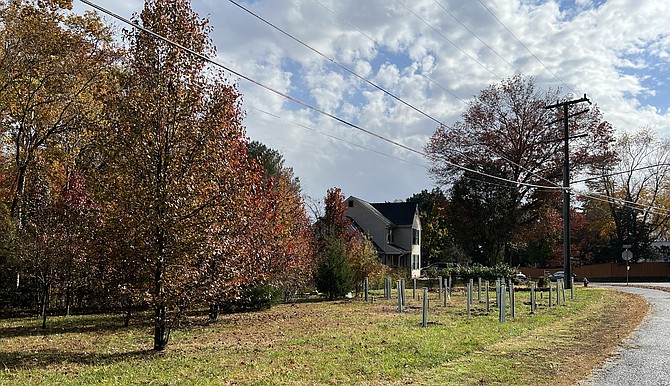 One Springfield HOA’s effort to promote natural plantings fills a portion of an empty lot with small flowering and fruit trees and creates a better habitat for wildlife, while saving mowing expense; wildflowers will complete the ‘re-wilding’.