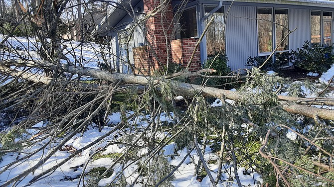 When a neighbor’s tree falls from the weight of the snow, does it make a sound?