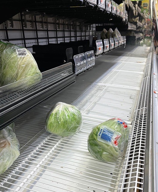 Empty grocery store shelves all around county.