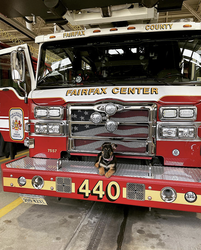 Fairfax Center, Station 40 in Fairfax