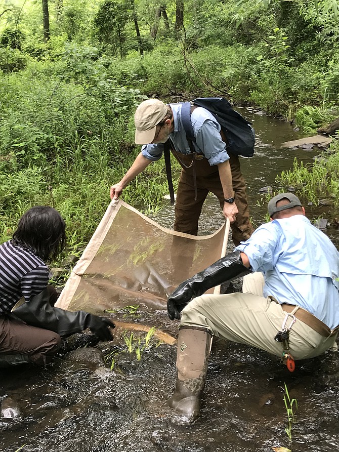 Reston’s environment is a matter that the Task Force considered.