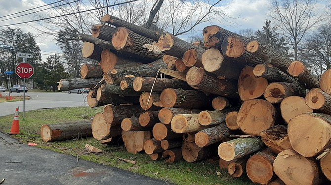 A pile of felled trees on the side of Mount Vernon Memorial Highway.