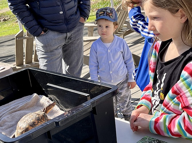 Youngsters visit the outdoor classroom meeting a turtle that appears very interested in them.