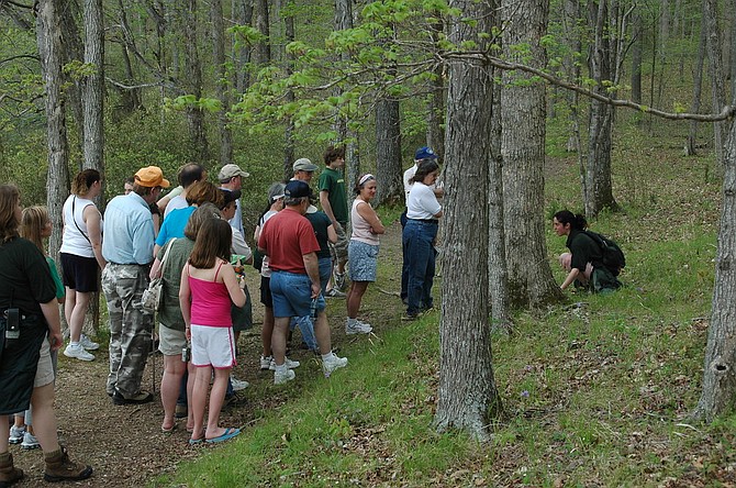 On Saturday, April 30 join Tamara Sheiffer, a Fairfax County Parks nature interpreter, on a nature walk