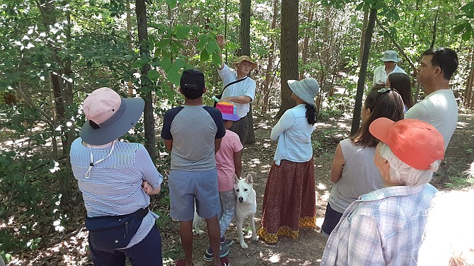 The trees, insects and bird life was highlighted on the walk.