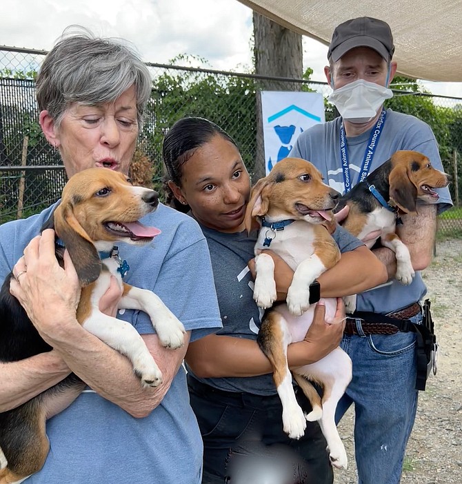 Puppies with shelter names for flowers, Bergamot, Mint, Rosebud, with shelter volunteer Bernadette Carter, of Chantilly; shelter staff member Danielle McClammy; and volunteer Peter Fabry, of Annandale, form a huggable line-up for photos
