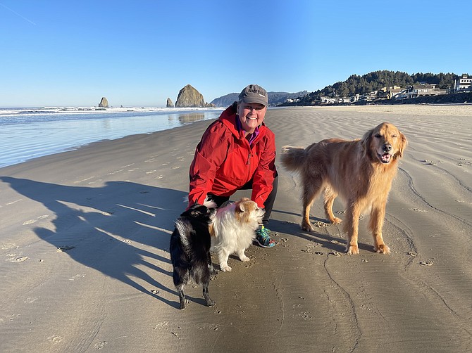 New FCPS Superintendent Dr. Michelle Reid and her dogs Nita, Zeus, and Rufus. All three pups made the cross-country road trip with Dr. Reid from Oregon.