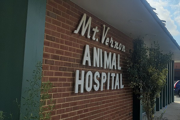 Dogs and Cats Keep Them Busy at the Mount Vernon Animal Hospital