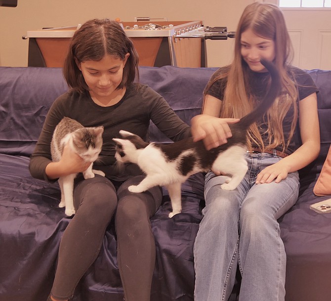 Nati and Laura Gradzka with their current foster cats, Evie and Eggsy.