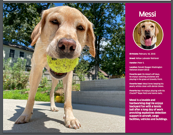 Of 1,000 TSA explosives detection canines, two from Ronald Reagan Washington National Airport (DCA) made the cut for the calendar, Messi and Ava.