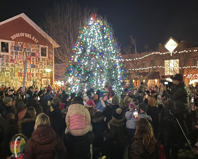 Crowds gather in Pat Miller Neighborhood Square for the lighting of the Del Ray holiday tree and menorah on Mount Vernon Avenue.