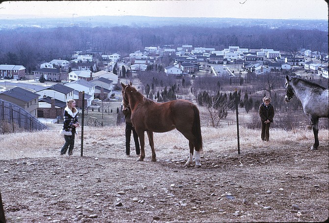 On a hilltop in Mount Vernon, a farm overlooks a housing development.