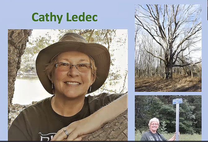 Cathy Ledec, Friends of Huntley Meadows Park, former Tree Commissioner, Northern Virginia Audubon Society and Mount Vernon District Environmental Committee implemented many tree planting projects; unceasingly advocated for trees; and provided ongoing educational testimony to elected officials.