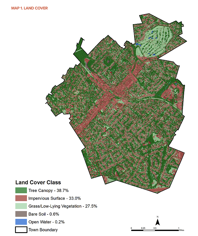 Land cover class